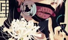 动漫 欧美,跨越国界的文化盛宴